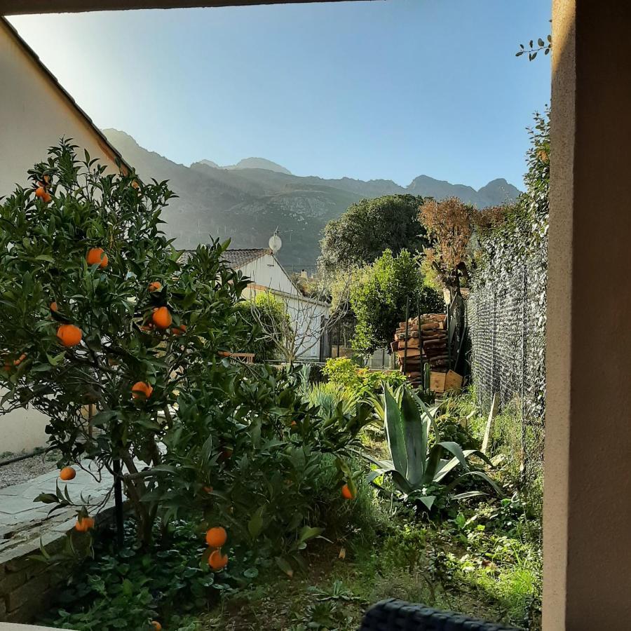 Mini Villa Marcel Classee 3 Etoiles Calenzana Bagian luar foto